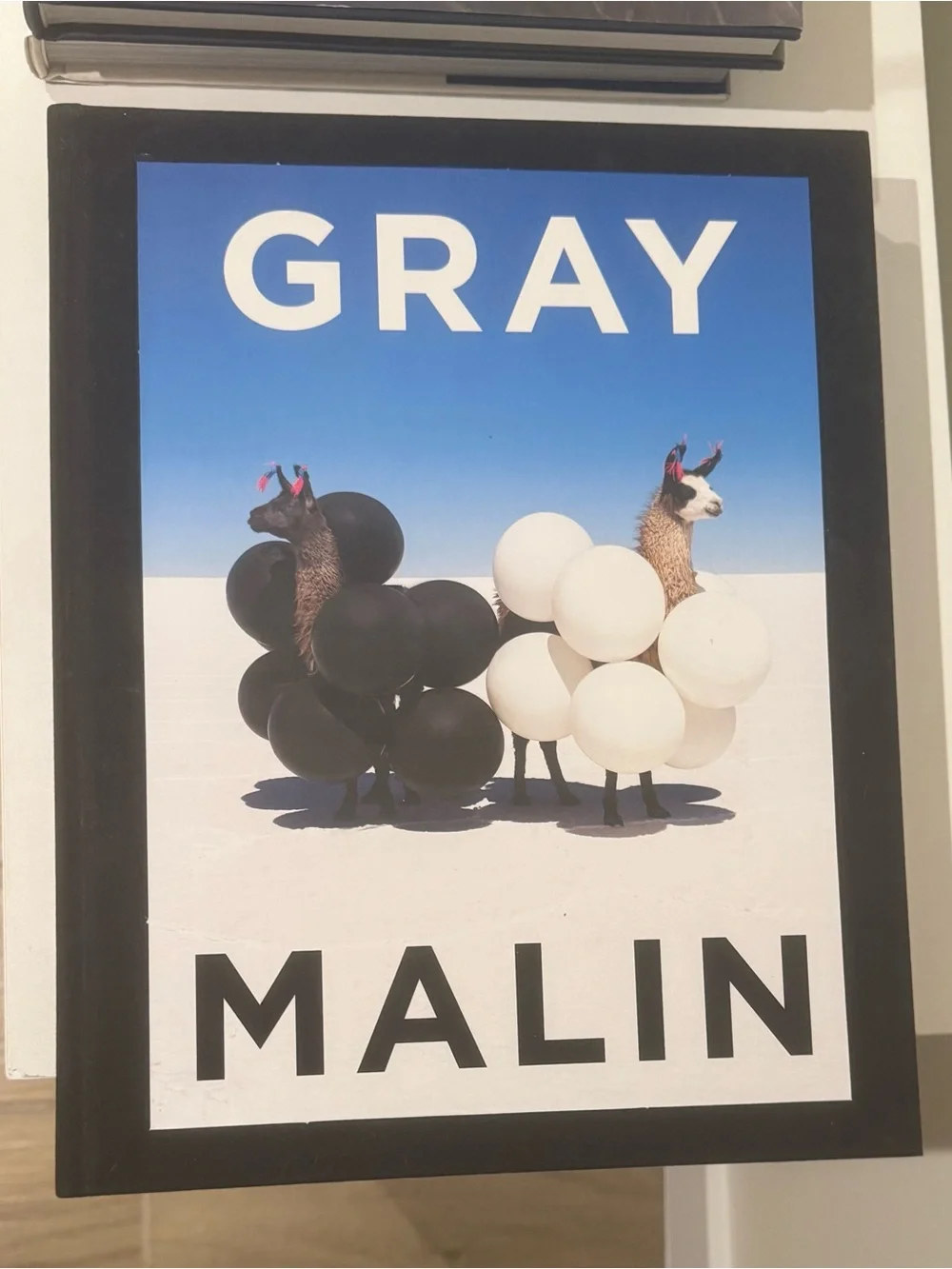 GRAY MALIN coffee table book